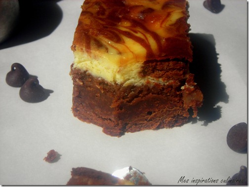 brownie_cheesecake_marbre3