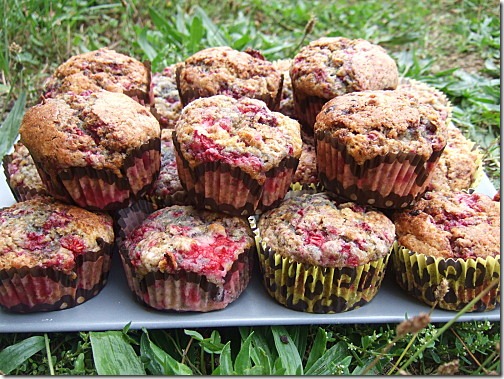 muffins_fruits_rouge_babeurre