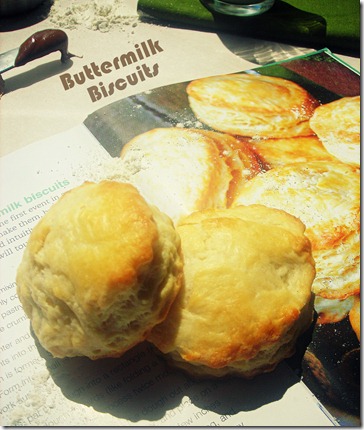 biscuits-au-babeurre