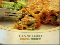 cannelloni saumon epinard2 5