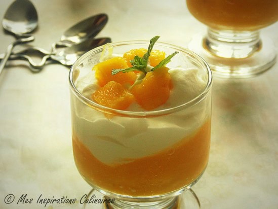 creme-a-la-mangue12.jpg