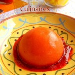 sorbet-mangue-framboise-1