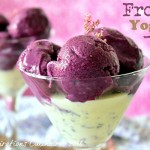 frozen yogurt blueberries 1