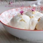 creme glacee aux 2 ingredients 1