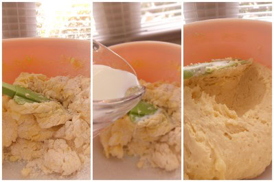 cake-aux-myrtilles4.jpg