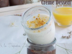 Crème dessert à la vanille façon Danette