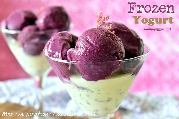 Frozen yogurt / Yaourt Glacé (Sans sorbetière)