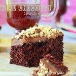 Gâteau au chocolat sans œufs, facile et moelleux
