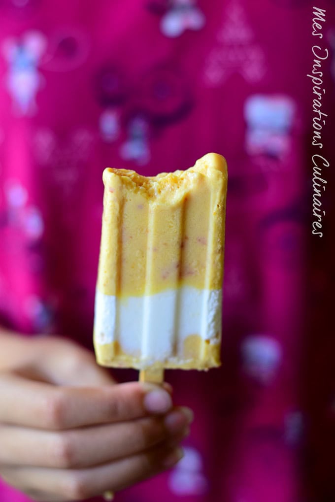 Popsicle aux fruits 