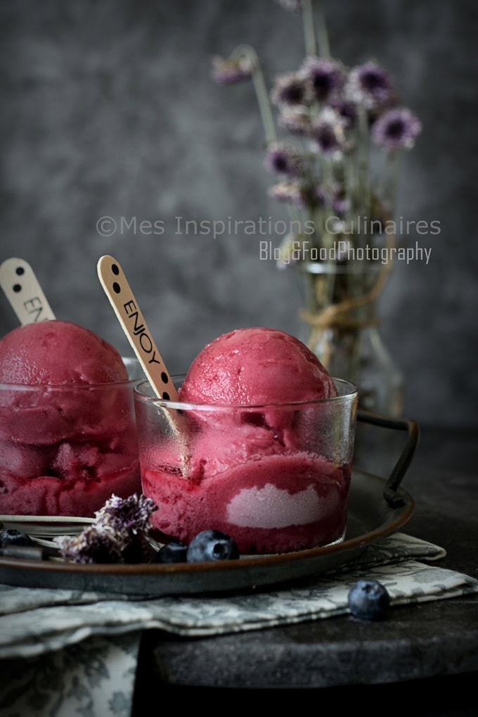 Sorbet maison, recette facile (aux myrtilles)