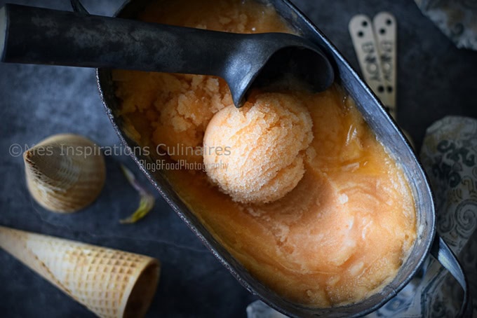 Sorbet au melon recette facile