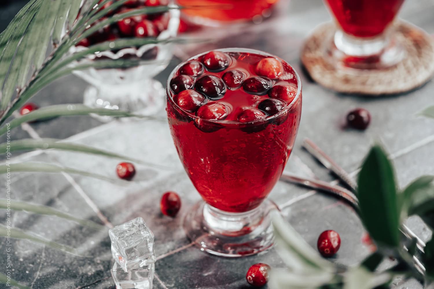 Jus de canneberge (jus cranberry), recette maison