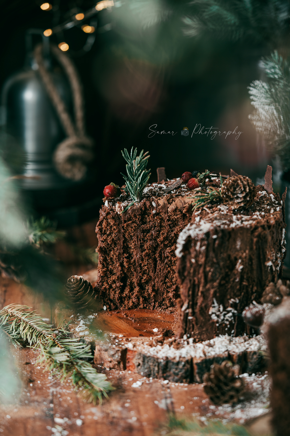 Gâteau roulé au chocolat souche d'arbre