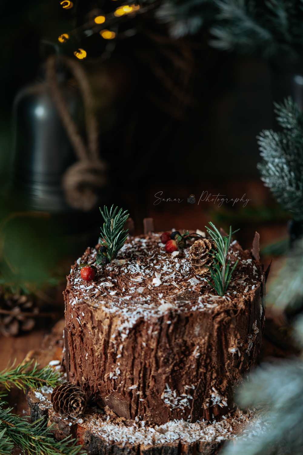 Gâteau roulé au chocolat souche d'arbre