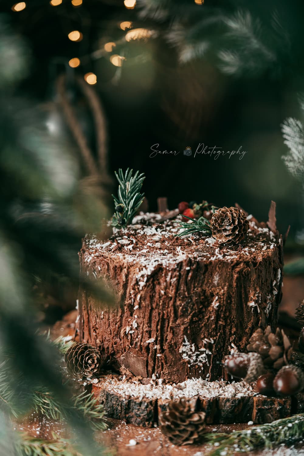 Gâteau roulé au chocolat souche d'arbre