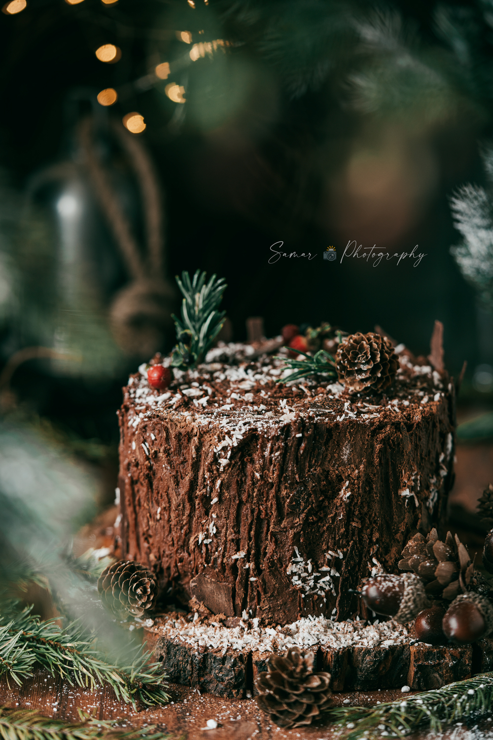Gâteau roulé au chocolat façon souche d'arbre