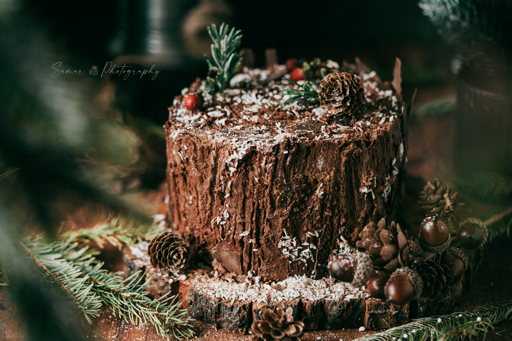 Gâteau roulé au chocolat façon souche d'arbre