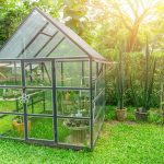 La serre de jardin : la solution idéale pour protéger vos plantes du froid