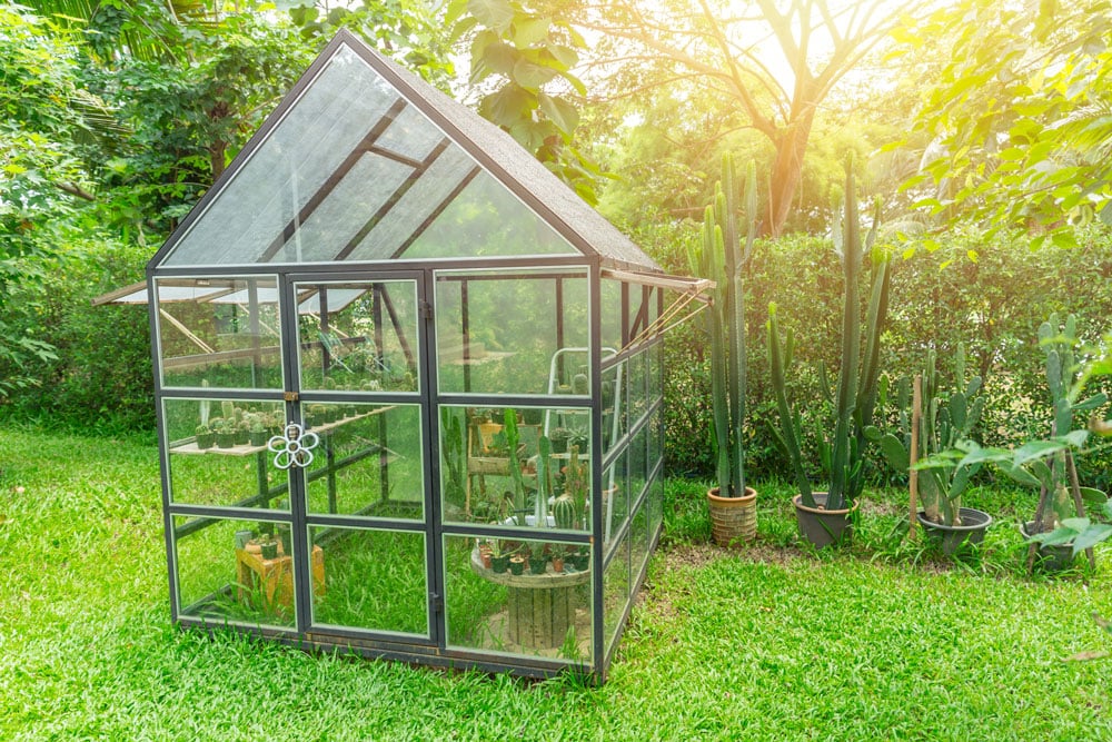 La serre de jardin : la solution idéale pour protéger vos plantes du froid