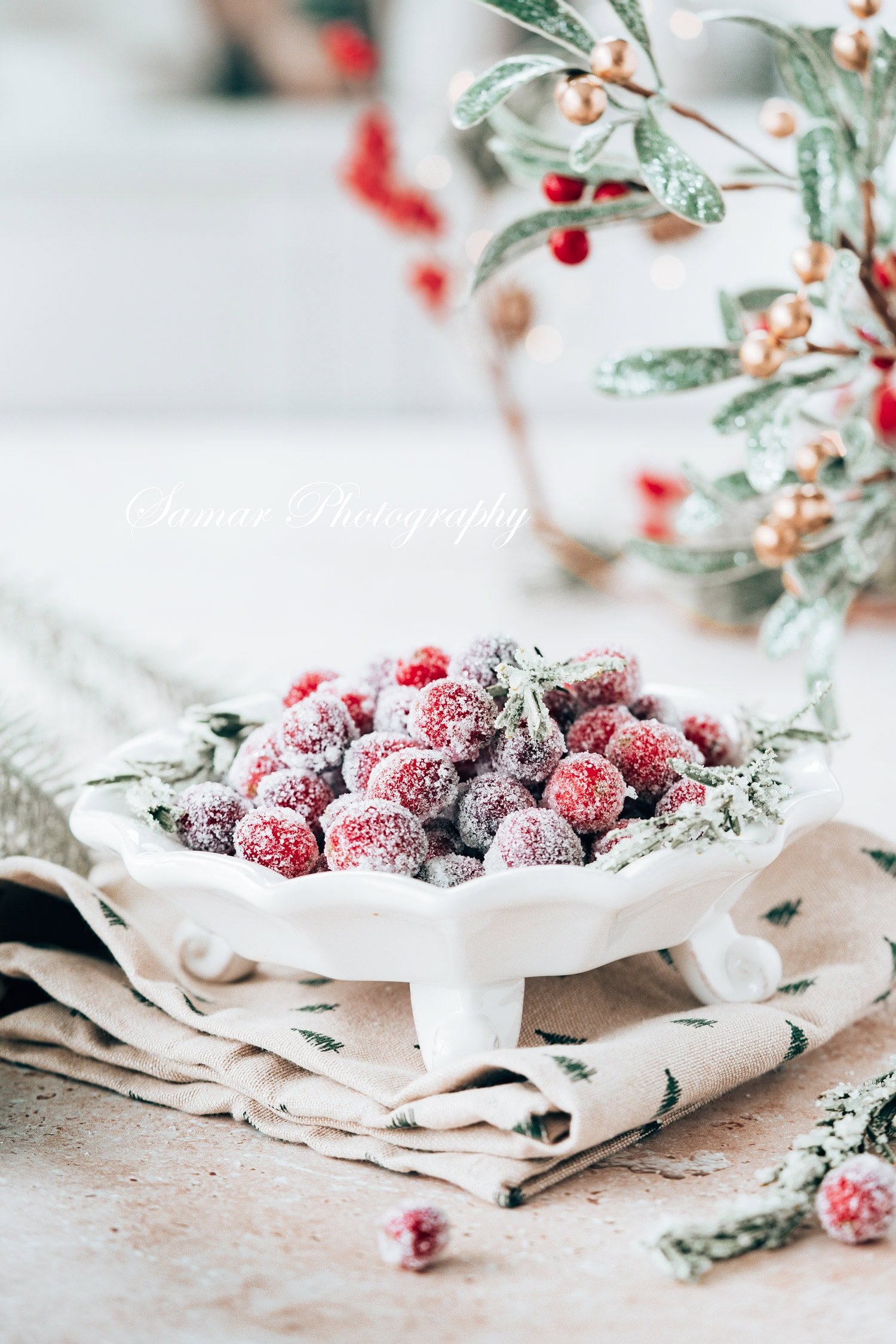 comment faire des canneberges givrées 