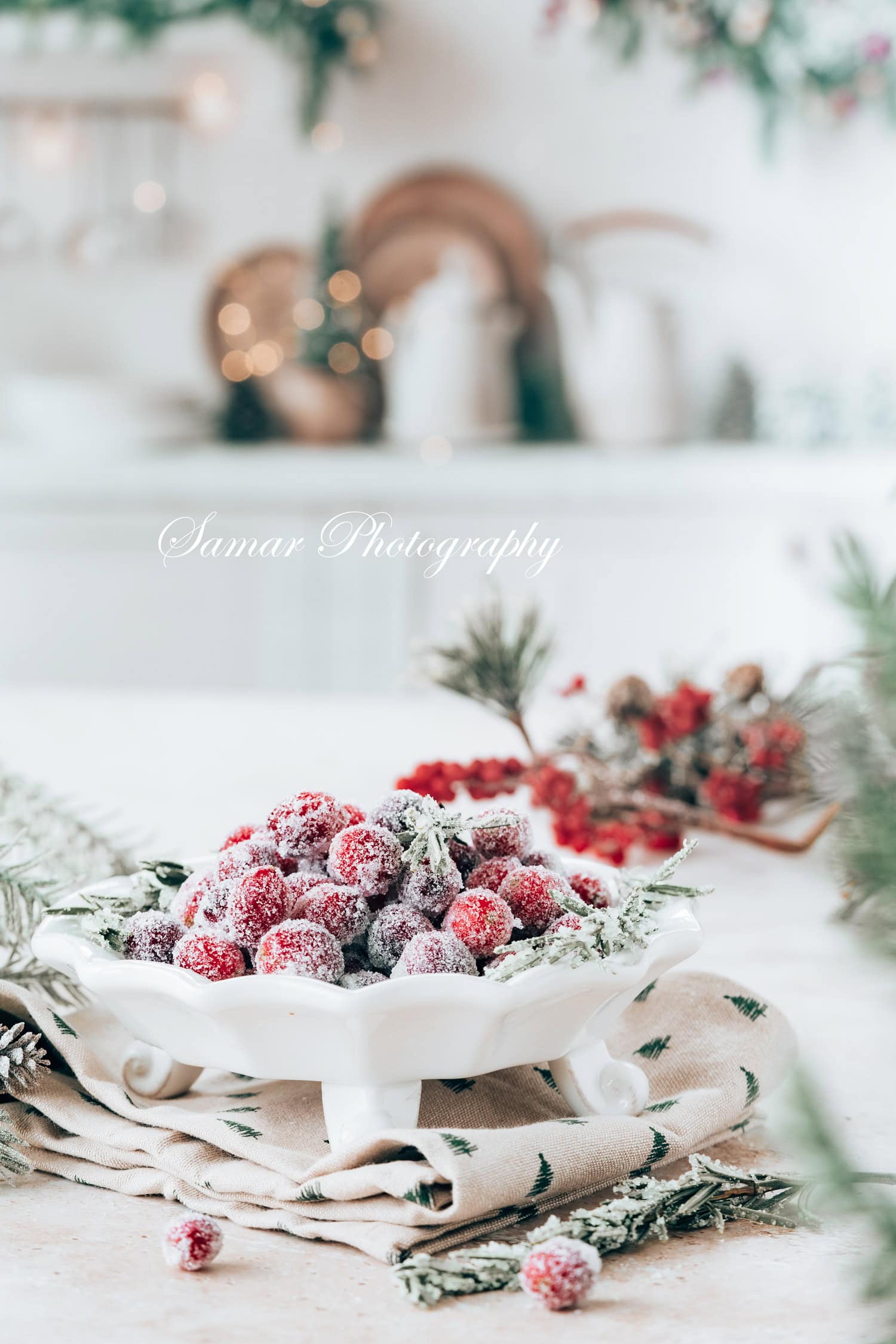 Canneberges givrées 