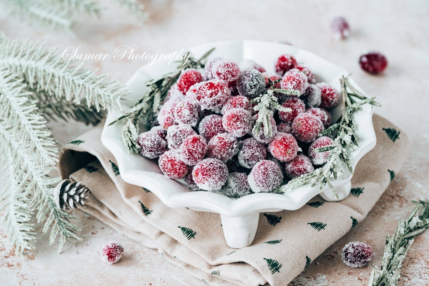 Canneberges givrées maison : 3 ingrédients 