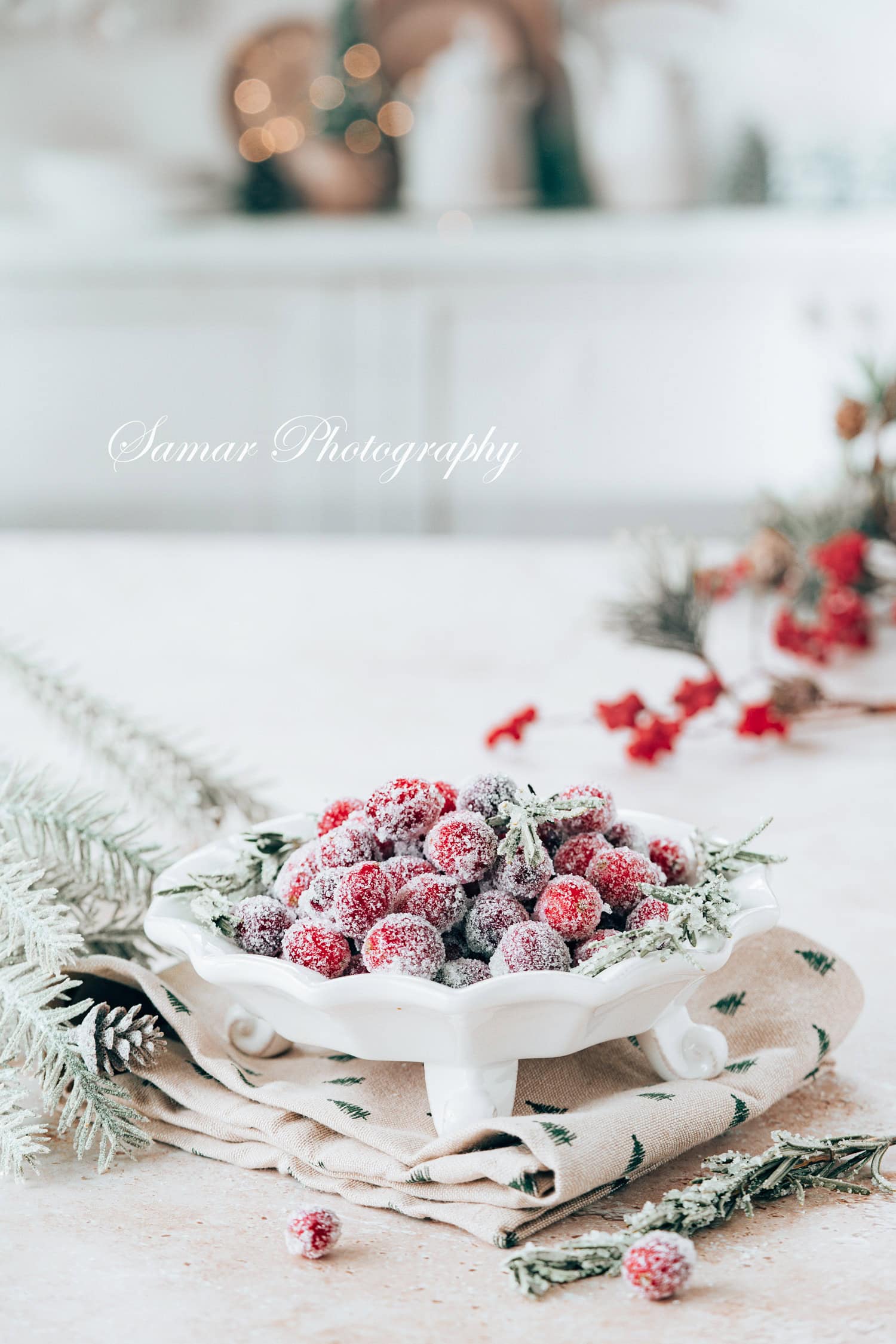 Canneberges givrées 