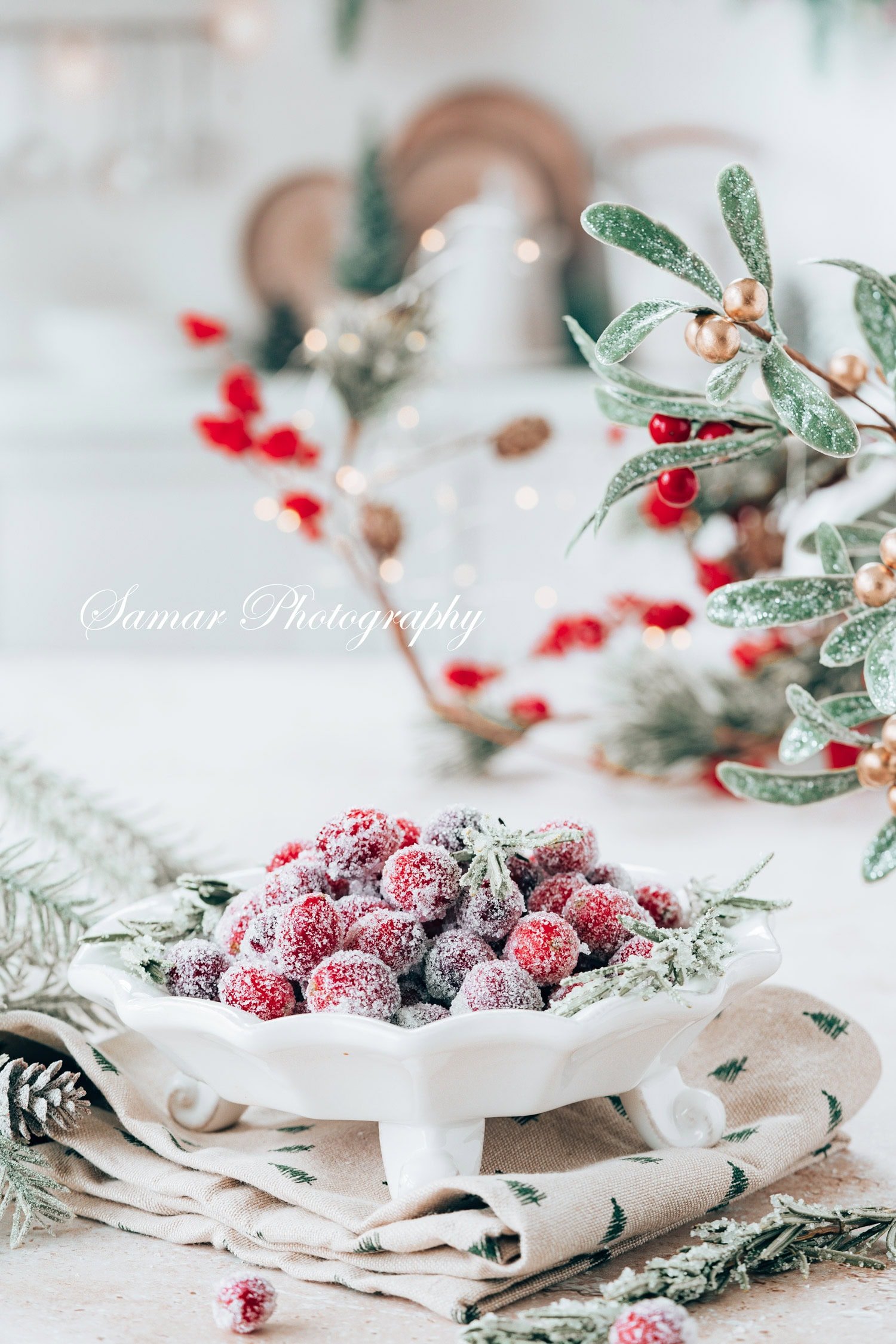Canneberges givrées fait maison : recette facile